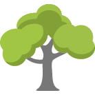 Arlington Tree Removal Service