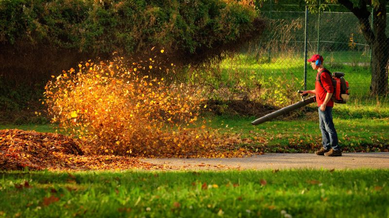 Leaf Blowing Efficiency