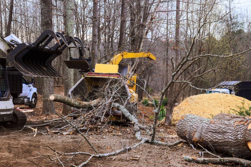 Emergency Tree Removal Equipment